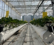 농사용 전기요금 잇단 인상…경남 농가 비상