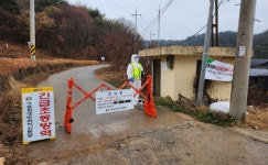 진주 오리농장서 AI 의사환축 발생