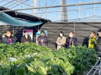 함양군 딸기 삽목묘 대량증식기술 시범사업 결과평가회 열려