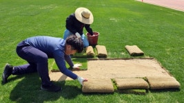 양산종합운동장 새로운 잔디야 자라나라