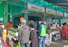 지리산 산청 산나물 서울 소비자 사로잡는다