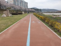 경남도 봄철 자전거도로 안전점검 완료