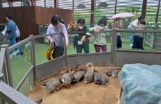 창녕 고암면 지사협 홀몸 어르신과 봄나들이