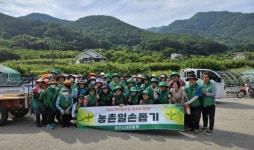 양산시새마을회 농촌일손돕기 봉사활동 실시