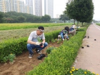 밀양 산문동 여름맞이 꽃 구경 오세요