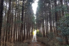 올 여름 휴가, 남해안 최고 휴양지 사천서 즐기세요