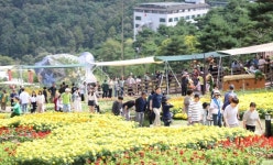 포토-약초 꽃향기 느끼며 한걸음 두걸음 걸어요