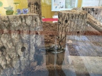 창녕생태곤충원 가을맞이 특별 이벤트 개최