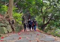 한려해상국립공원 봄날의 여행, IBK기업은행 생태나누리 참여자 모집
