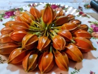 통영 농업회사법인(주) 참솔 이성만 대표