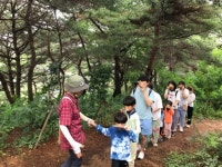 양산시 유아숲교육 및 숲해설 프로그램 운영