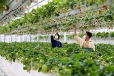 경남도 스마트 농업 확대·농업 분야 청년 창업 맞춤형 지원