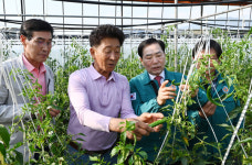 성낙인 창녕군수, 시설채소 현장 방문
