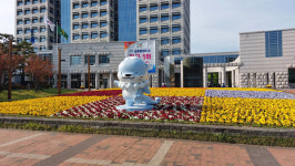 포토-진주시청 앞 봄꽃 활짝