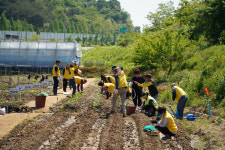진주 내동면 주민자치위원회 텃밭 가꾸기 행사