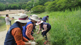 진주문화유산지킴이 문화재 정화활동 실시