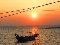 서영의 힐링 칼럼-삶의 여정, 행복으로 가는 여행