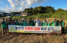 진주 정촌면 새마을회 사랑의 김장 배추 모종 심기