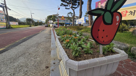 산청 신등면 도로변 꽃길 조성
