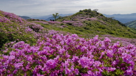 웰빙도시 합천서 건강과 행복 만나다