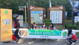 창녕목재(1종) | 창녕군 '국산목재 이용 활성화 캠페인' 개최