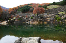 붉게 물든 늦가을, 배달성전 하동 삼성궁 나들이