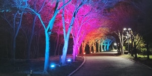 김해시 사계절 대비 삼계근린공원 경관조명 설치