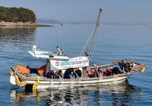 경남도 수산자원연구소, 어린 대구 500만 마리 방류