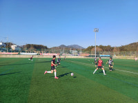고성군 스포츠 열정으로 지역경제에 따스한 바람