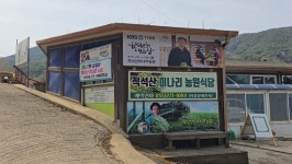 한국인의 밥상 최불암 선생도 감탄한 적석산 미나리 삼겹살