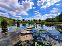 (경남의 숲을 찾아서)-(2)함양 상림공원
