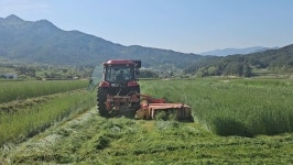 거창군 축산농가 경영안정을 위한 조사료 생산 확대 지원