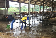 합천축협, 수해 피해 현장에서 발 벗고 복구 지원 나서