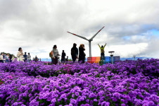 황금연휴 끝자락, 가을 청취 가득한 힐링 여행지 거창으로 오세요
