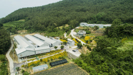 경남도, 동물복지 축산농장 확대…맞춤형 컨설팅으로 뒷받침