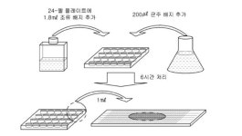 위드바이오경기센터 주식회사(4종) | [2020 해양수산 기술사업화대전] 경기대학교, 슈도모나스 속 균주 및 이를 이용한 살조 미생물 제제 개발