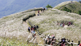 명실상부 NO.1 억새 산행지...정선 민둥산