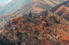 산골과 바다 잇는, 열차여행에 딱 맞는 기찻길