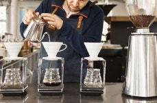 [리얼푸드][알고 먹어야 맛있다]커피 맛 결정하는 변수 4가지