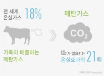 [리얼푸드][채식에 대한 오해들③]채식은 환경과 무관?