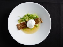 [리얼푸드][농부가 된 셰프 ①]“직접 기르니 맛과 향기가 살아납니다”…‘떼레노’ 신승환 셰프