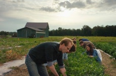 [리얼푸드][농부가 된 셰프②]최고의 요리는 토양이 만든다…‘블루힐’ 댄 바버 셰프
