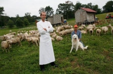 [리얼푸드][농부가 된 셰프②]최고의 요리는 토양이 만든다…‘블루힐’ 댄 바버 셰프