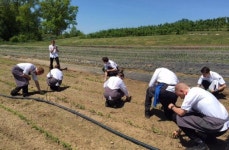[리얼푸드][농부가 된 셰프②]최고의 요리는 토양이 만든다…‘블루힐’ 댄 바버 셰프