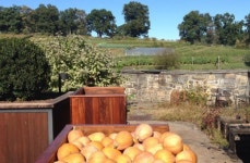 [리얼푸드][농부가 된 셰프②]최고의 요리는 토양이 만든다…‘블루힐’ 댄 바버 셰프