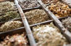 [리얼푸드]日, 약용식물재배가 효자산업?