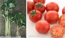 [리얼푸드]독특해야 뜬다...이름도 마케팅 시대