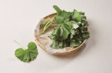 [리얼푸드]춘곤증ㆍ미세먼지에 좋은 이달의 식품 ‘녹두와 머위’