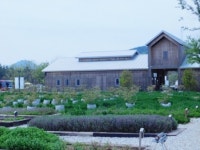 [리얼푸드][농부가 된 셰프⑤]자연속에서 자연식재료를 요리하다…