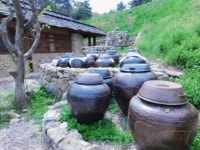 [리얼푸드][농부가 된 셰프⑤]자연속에서 자연식재료를 요리하다…